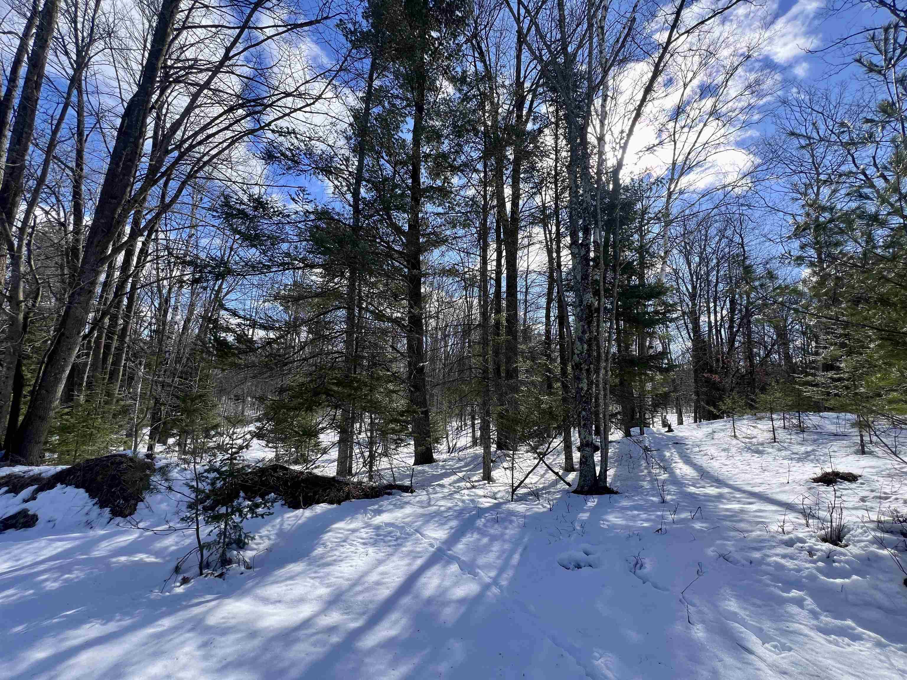 Nejedlo Road, Unit 7 Wausaukee, WI 54177 - Photo 6 of 8