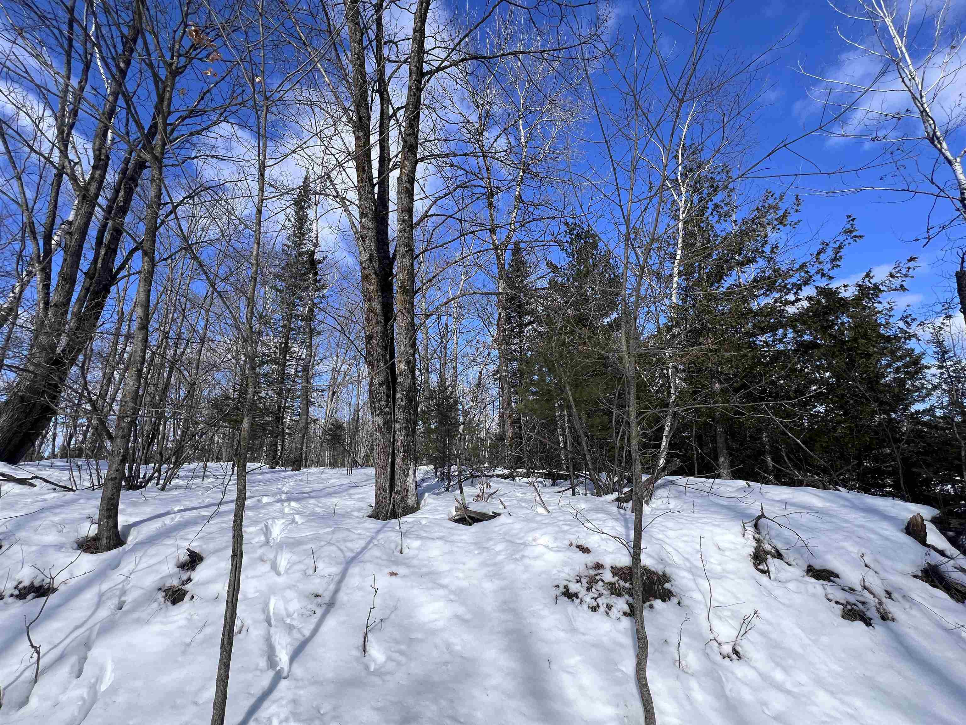 Nejedlo Road, Unit 7 Wausaukee, WI 54177 - Photo 7 of 8