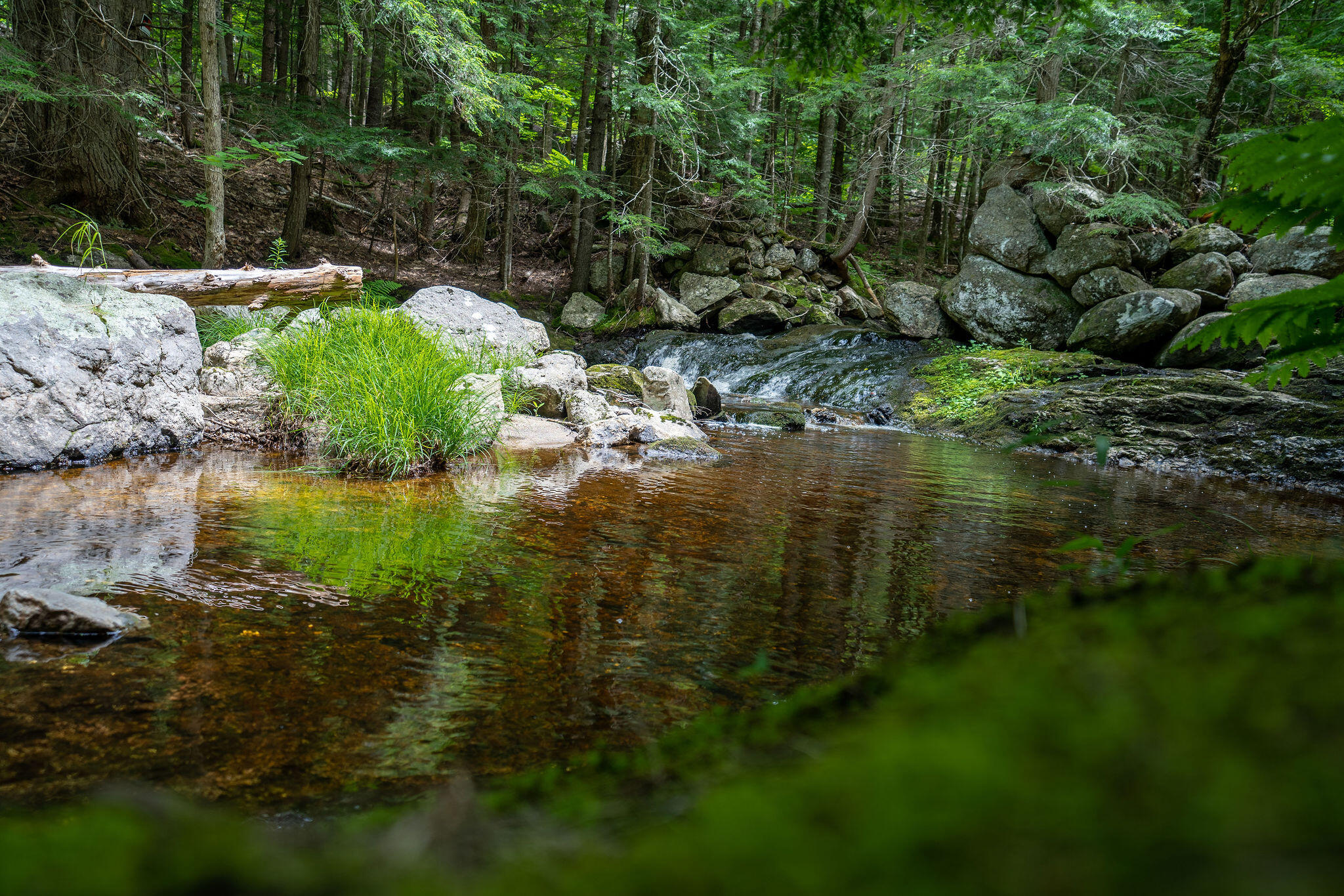 36 Reservoir Road Paris, ME 04281 - Photo 2 of 30 Brook