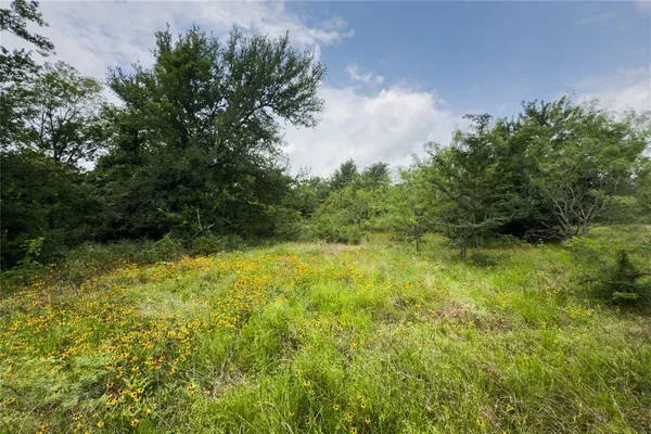 a view of outdoor space and yard