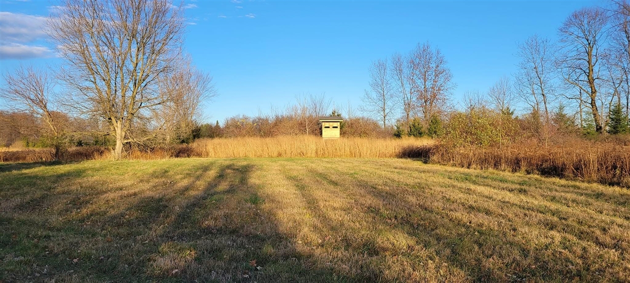 5785 Layton Road Fowlerville, MI 48836 - Photo 68 of 69