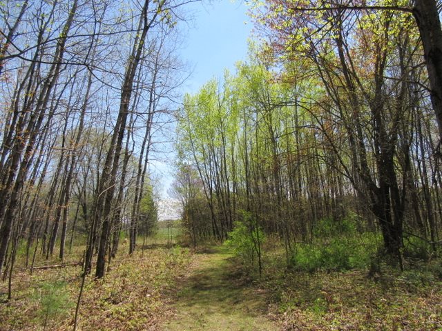 6080 North Merritt Road Merritt, MI 49667 - Photo 25 of 33 1832018-24.JPG
