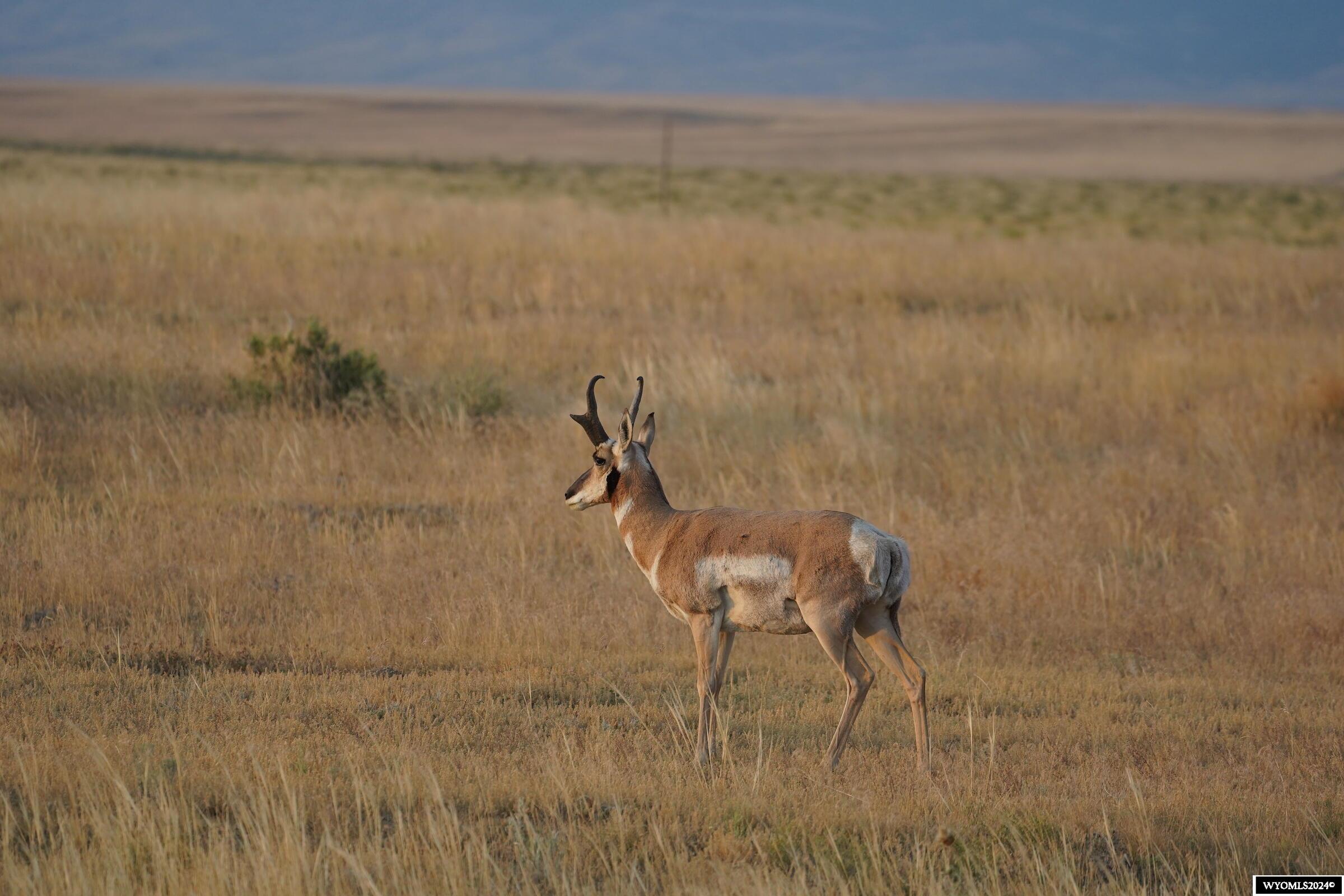 Frontage Road Casper, WY 82601 - Photo 7 of 11