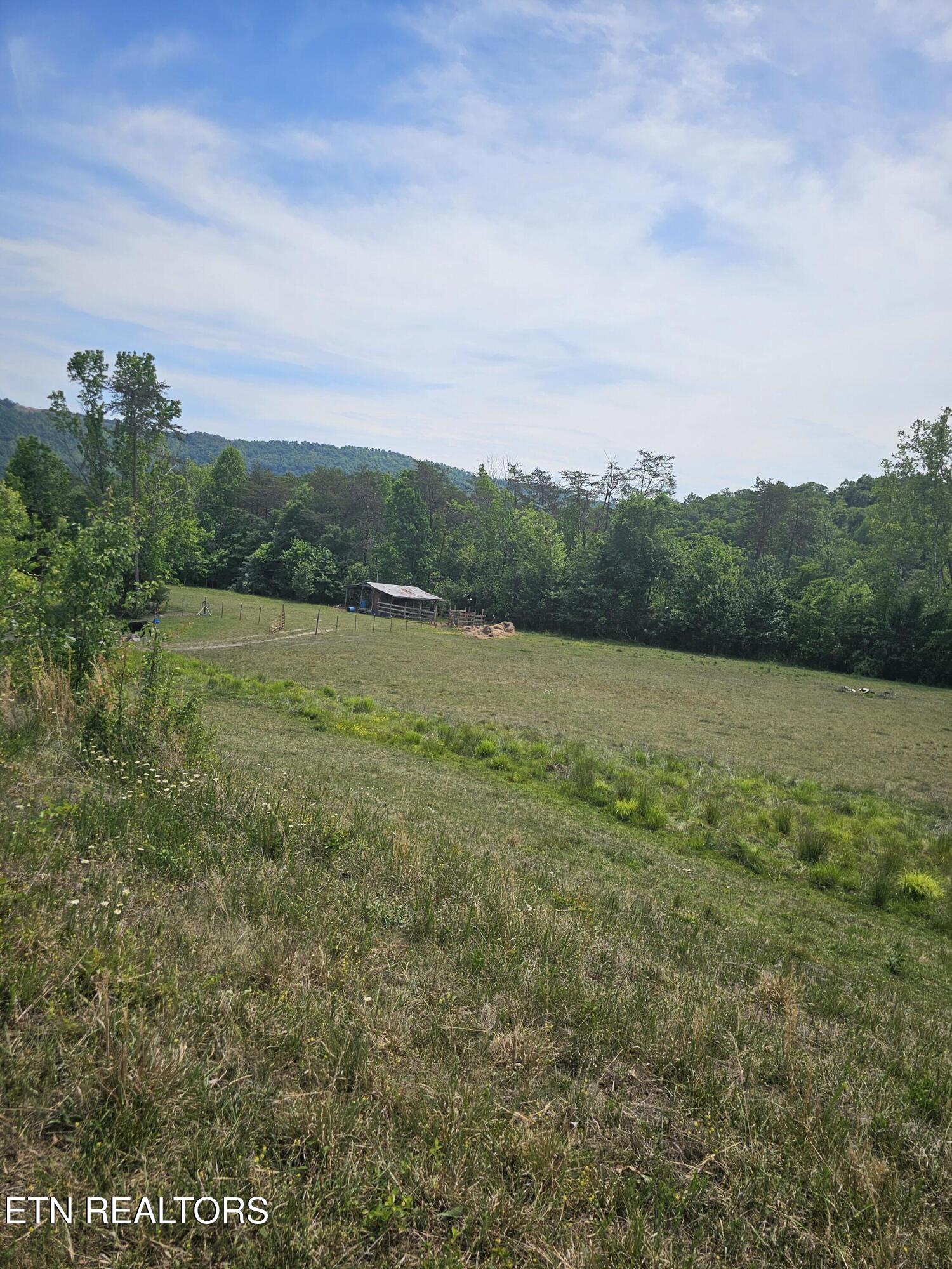 275 Republican Hill Road Newcomb, TN 37819 - Photo 33 of 34 Land