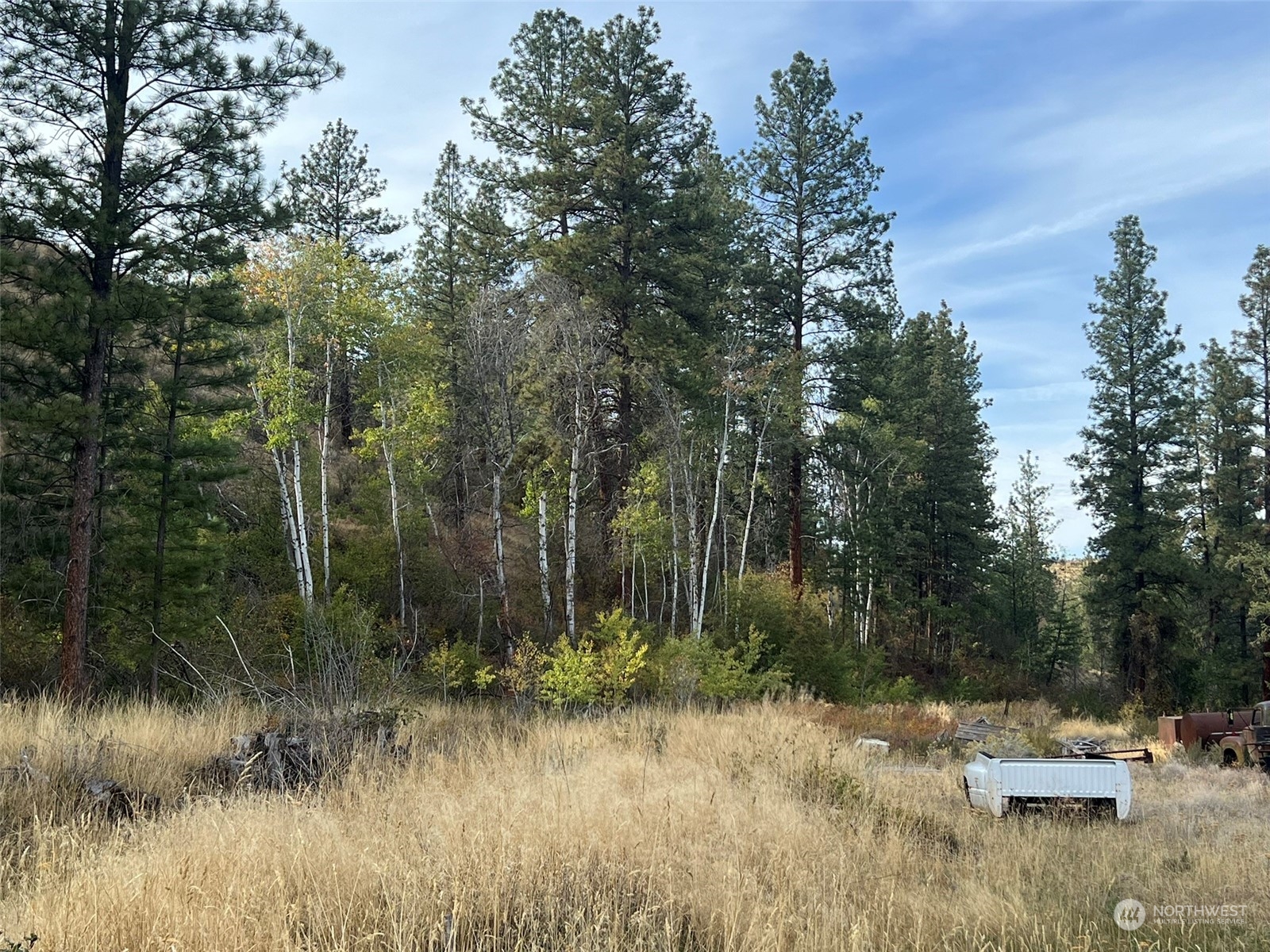 695 Twisp Carlton Road Twisp, WA 98856 - Photo 14 of 36