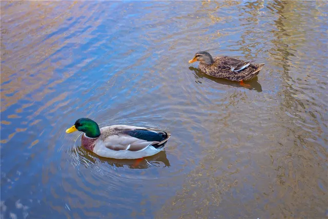 a wooden bench sitting in a shelf