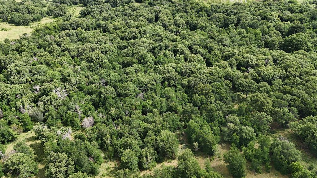 30 Oasis Court Perrin, TX 76486 - Photo 24 of 30