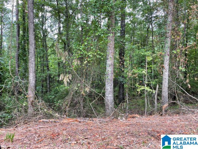 536 County Road, Unit 1 Marbury, AL 36051 - Photo 11 of 12