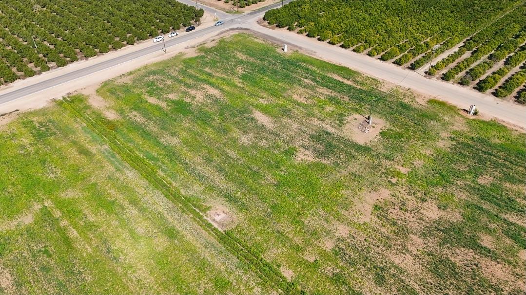 0 N/a Street East Reedley, CA 93654 - Photo 3 of 10 a view of a yard