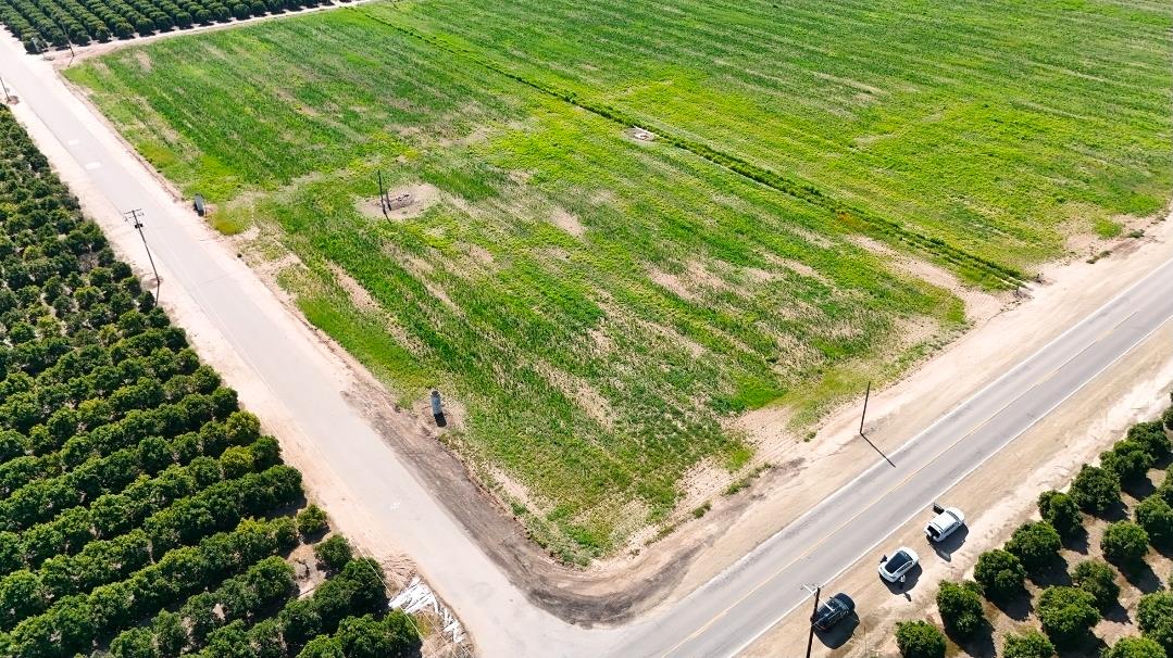 0 N/a Street East Reedley, CA 93654 - Photo 4 of 10 a view of a garden