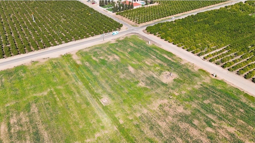 0 N/a Street East Reedley, CA 93654 - Photo 9 of 10 a view of a garden from a balcony