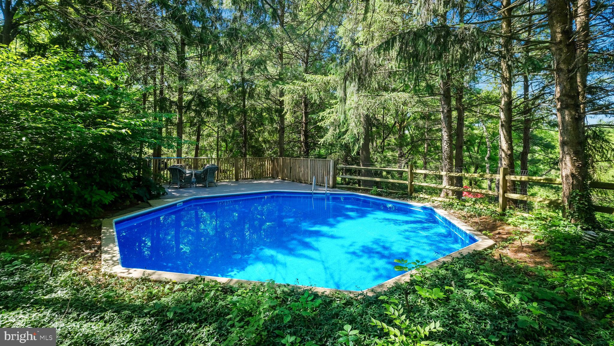 1099 Pebble Hill Road Furlong, PA 18925 - Photo 54 of 64 In-Ground Pool!