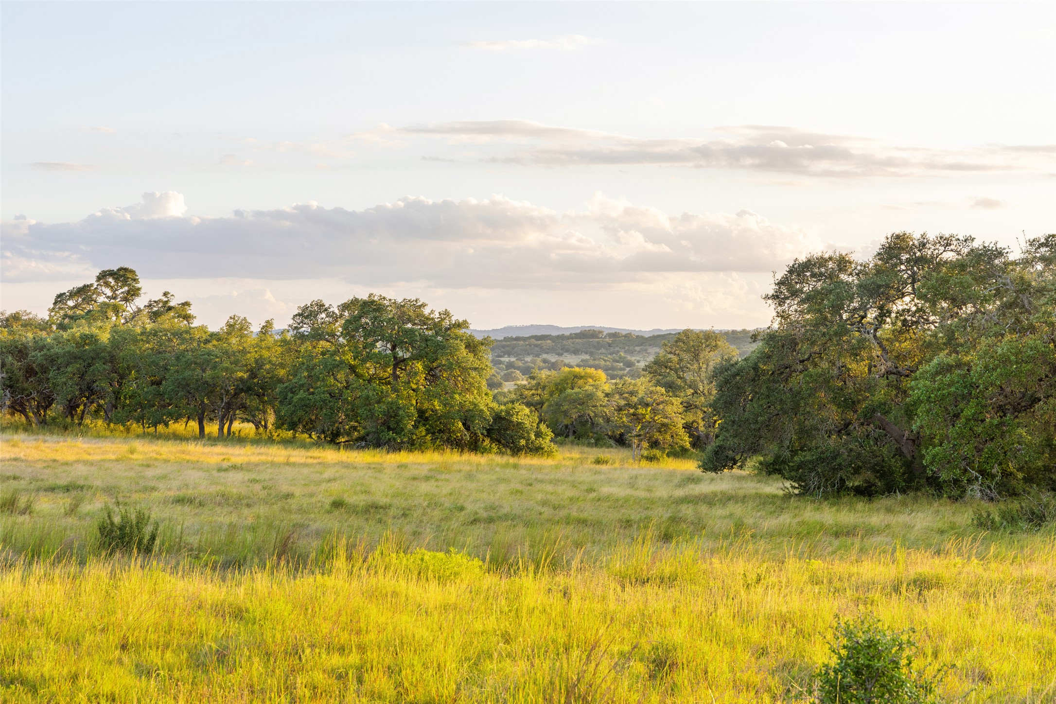 View of local wilderness with rural landscape