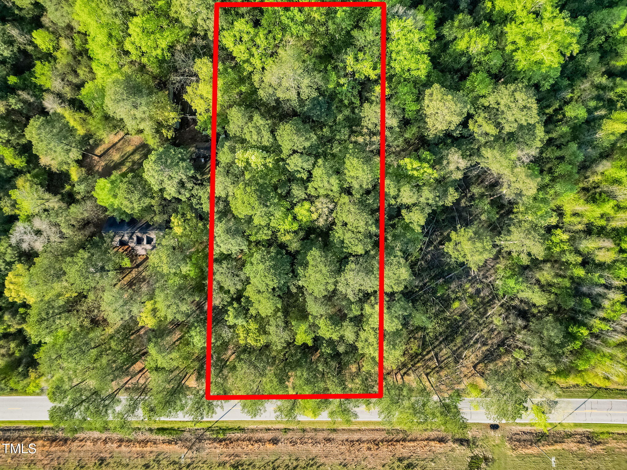 1038 John B Carter Road Fayetteville, NC 28312 - Photo 4 of 7 3-web-or-mls-DJI_0284-Line