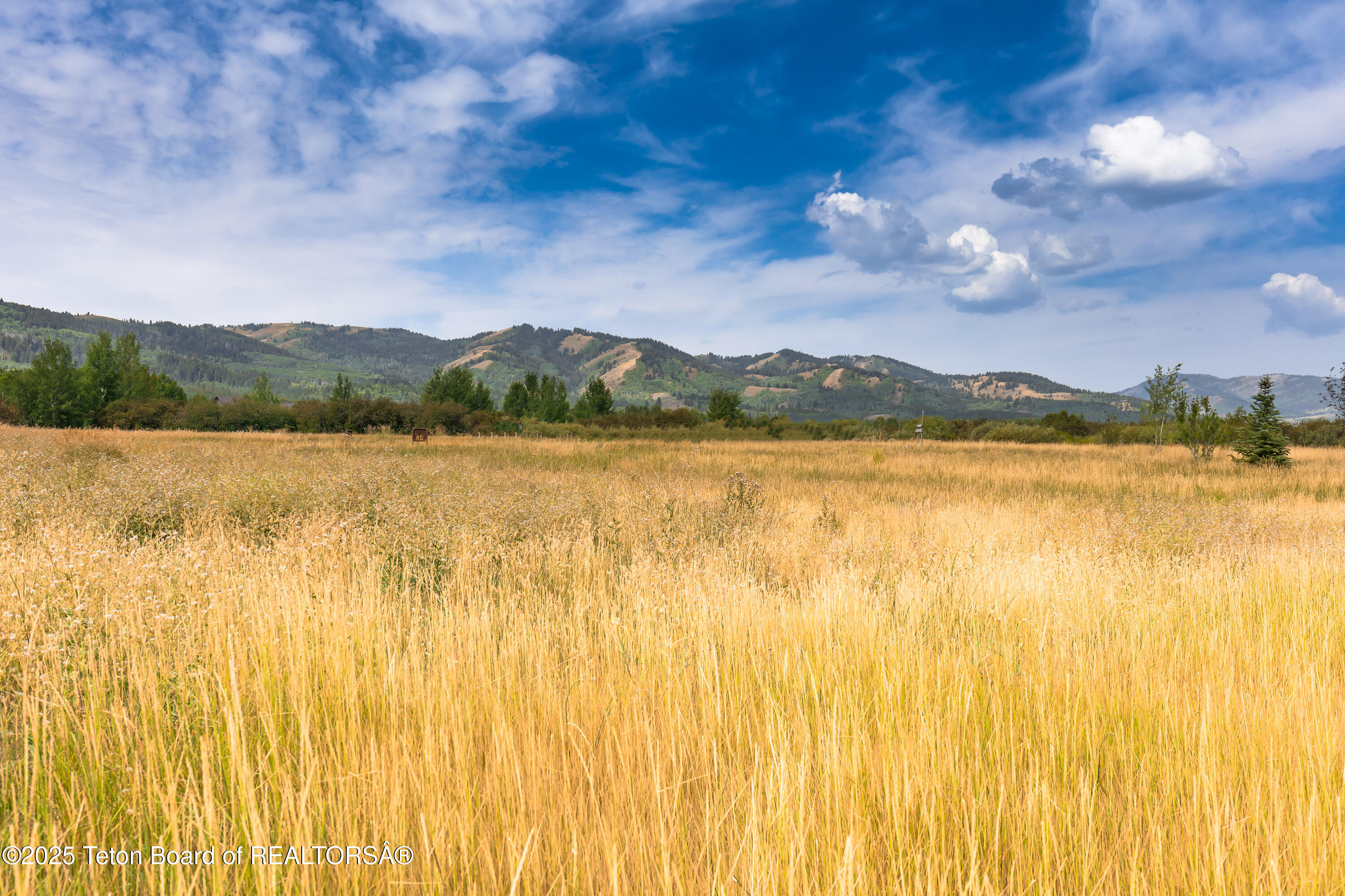 3255 Old Post Lane Victor, ID 83455 - Photo 16 of 21 image-6