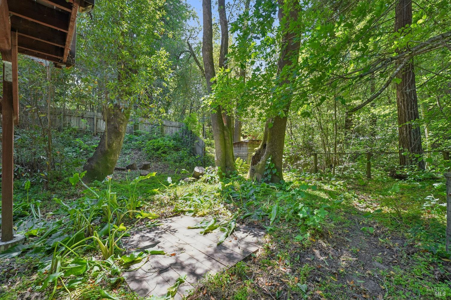 189 Wagnon Road Sebastopol, CA 95472 - Photo 48 of 66