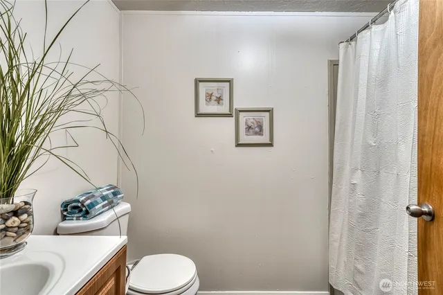a backyard of a house with potted plants and large tree