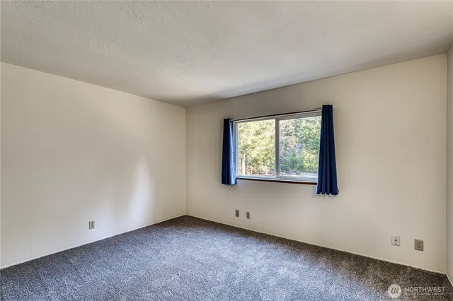 a view of a lush green forest