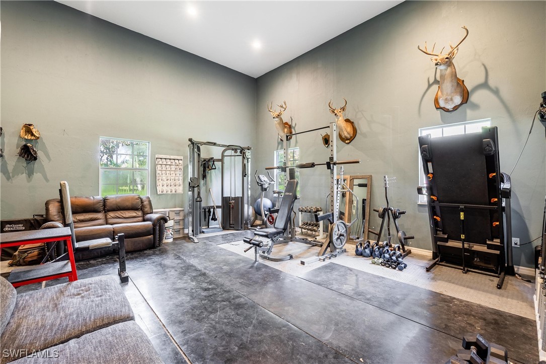 1135 Firebrand Court LaBelle, FL 33935 - Photo 35 of 45 a living room with furniture and gym equipment