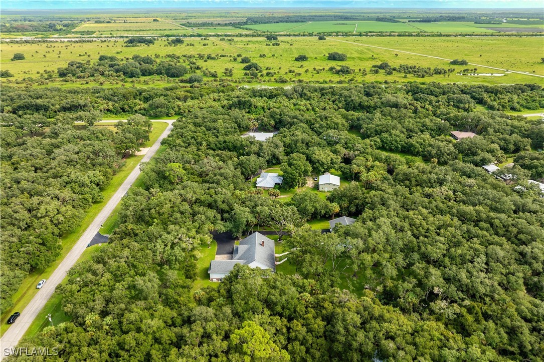 1135 Firebrand Court LaBelle, FL 33935 - Photo 45 of 45 a view of a yard with an outdoor space