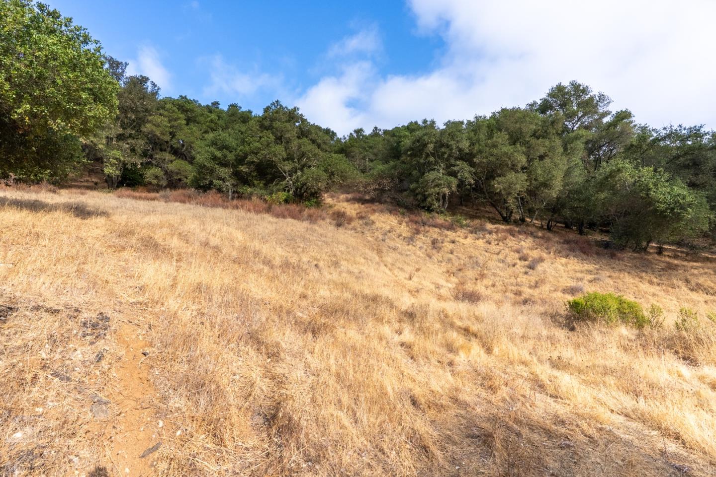 0 Wagner Road Los Gatos, CA 95030 - Photo 12 of 37 a view of a yard with a tree