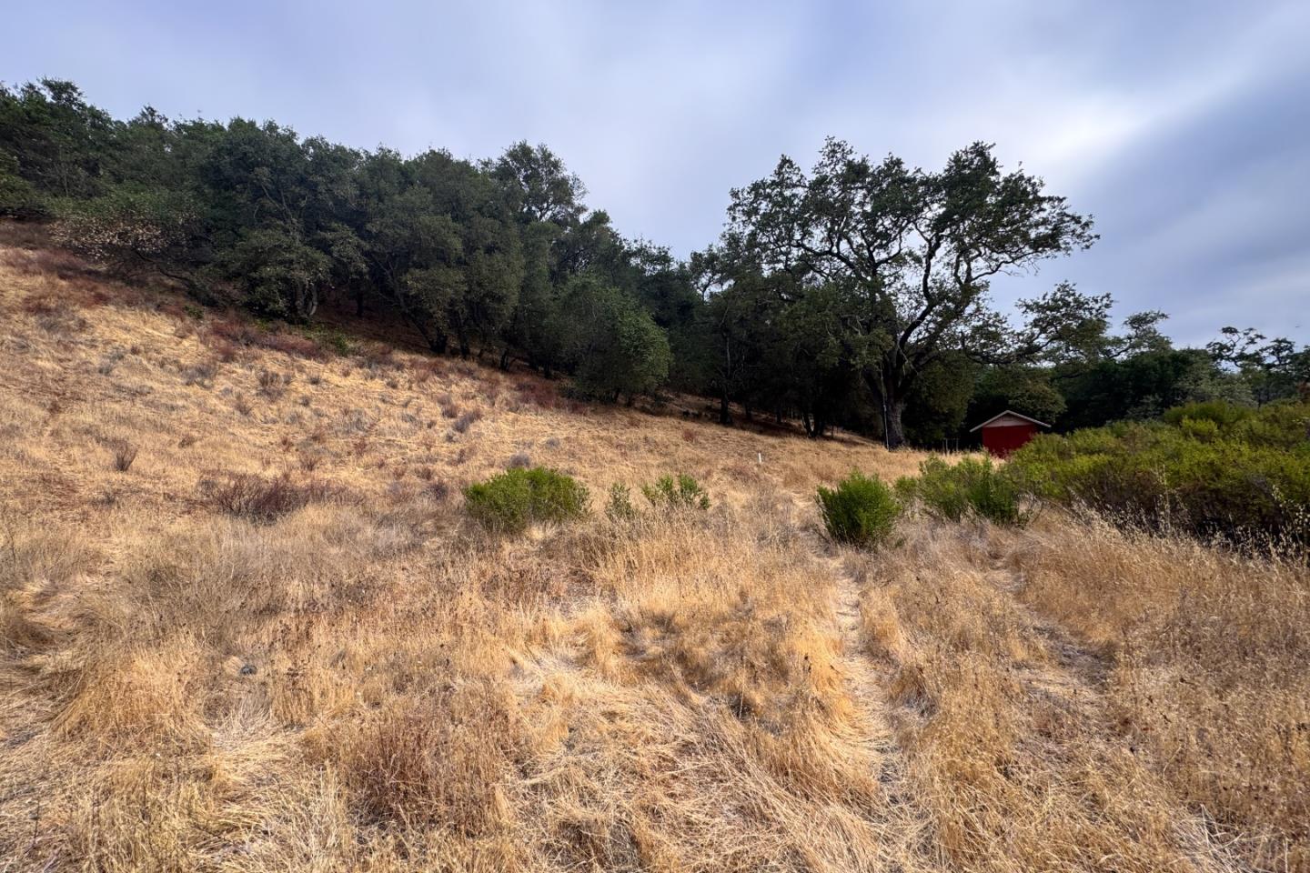 0 Wagner Road Los Gatos, CA 95030 - Photo 14 of 37 a view of a covered with trees in the background