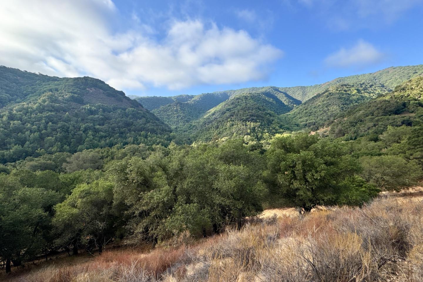 0 Wagner Road Los Gatos, CA 95030 - Photo 19 of 37 a view of a covered with green space
