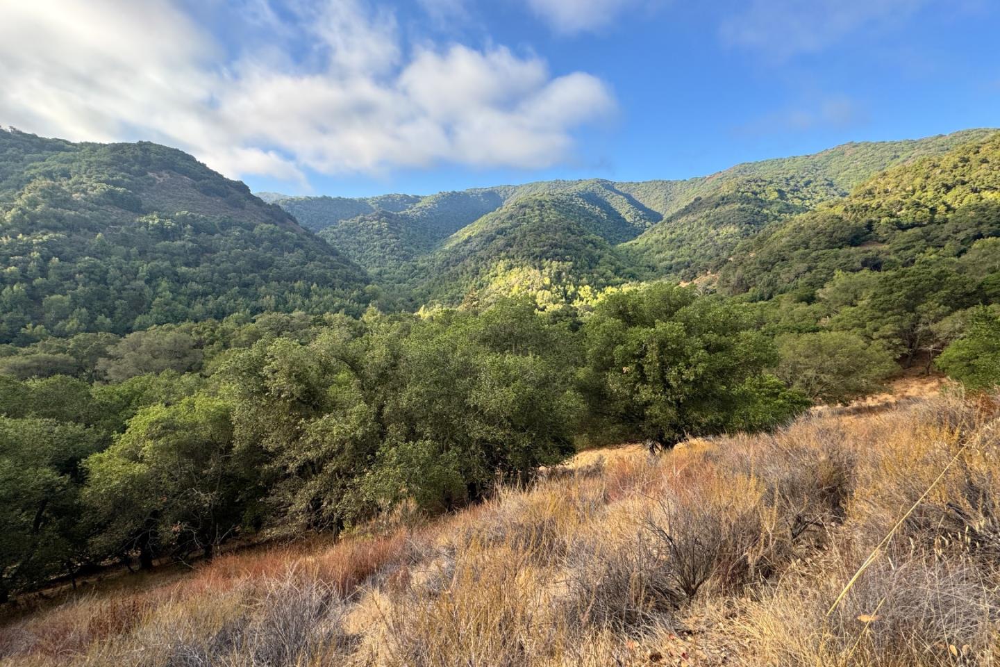 0 Wagner Road Los Gatos, CA 95030 - Photo 20 of 37 a view of a field