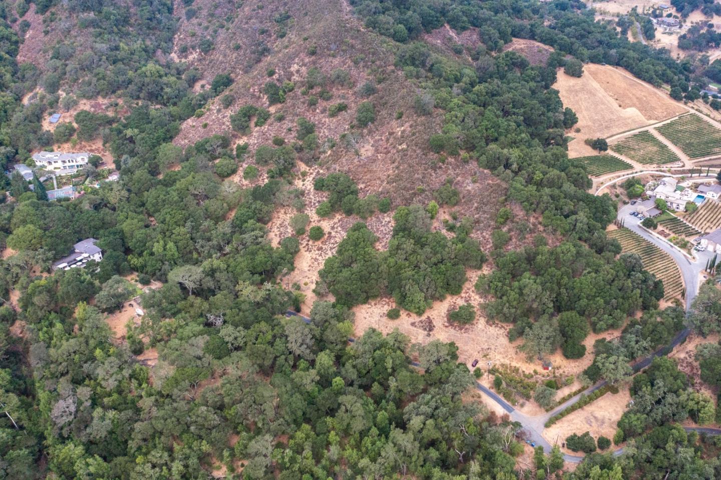 0 Wagner Road Los Gatos, CA 95030 - Photo 2 of 37 a view of a forest with a tree
