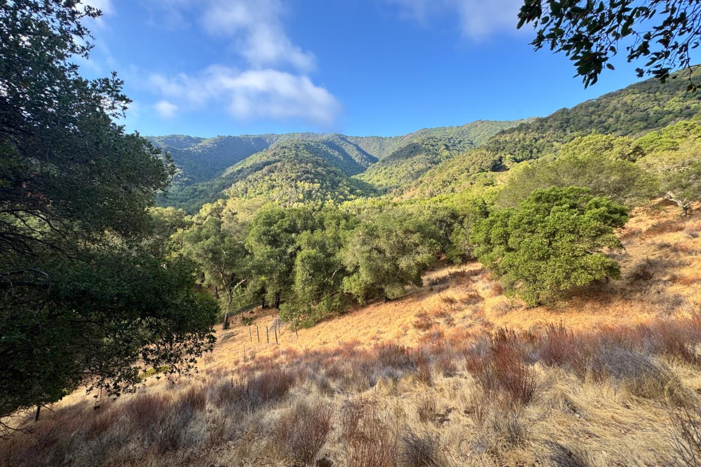 0 Wagner Road Los Gatos, CA 95030 - Photo 22 of 37 a view of a field