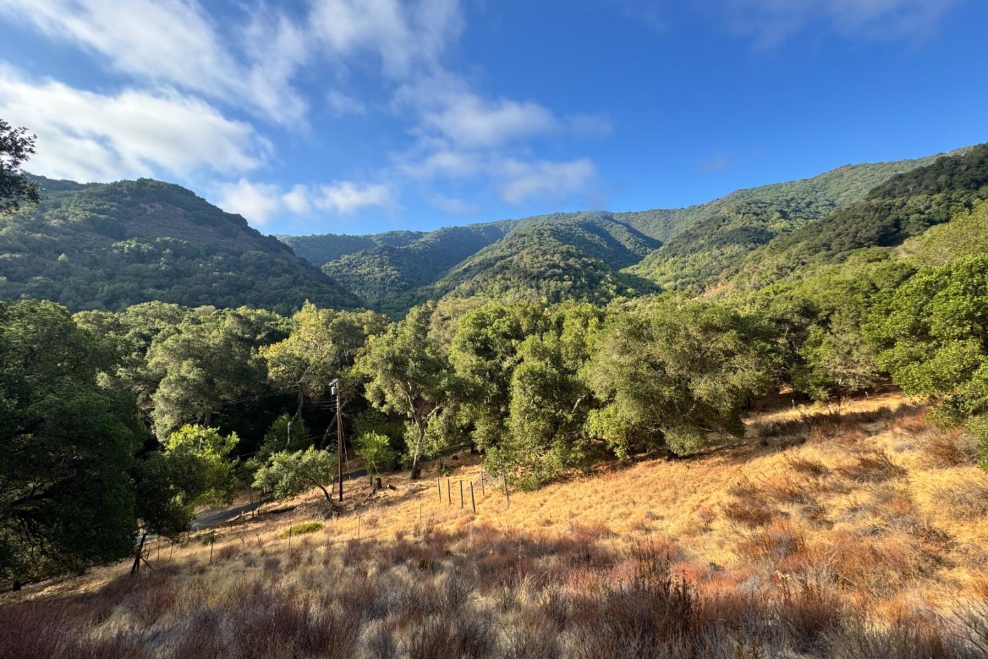 0 Wagner Road Los Gatos, CA 95030 - Photo 23 of 37 a view of a yard with a mountain