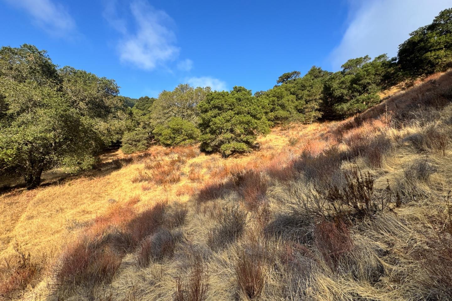 0 Wagner Road Los Gatos, CA 95030 - Photo 24 of 37 a view of a field with trees in the background