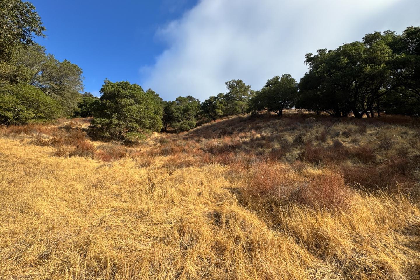 0 Wagner Road Los Gatos, CA 95030 - Photo 25 of 37 a view of mountain view with lots of trees