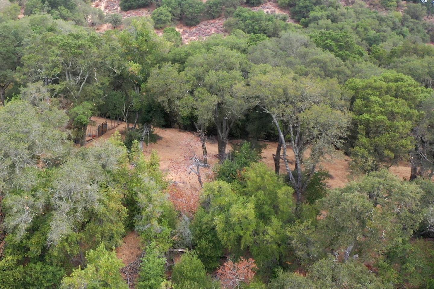0 Wagner Road Los Gatos, CA 95030 - Photo 26 of 37 a view of a forest with a house