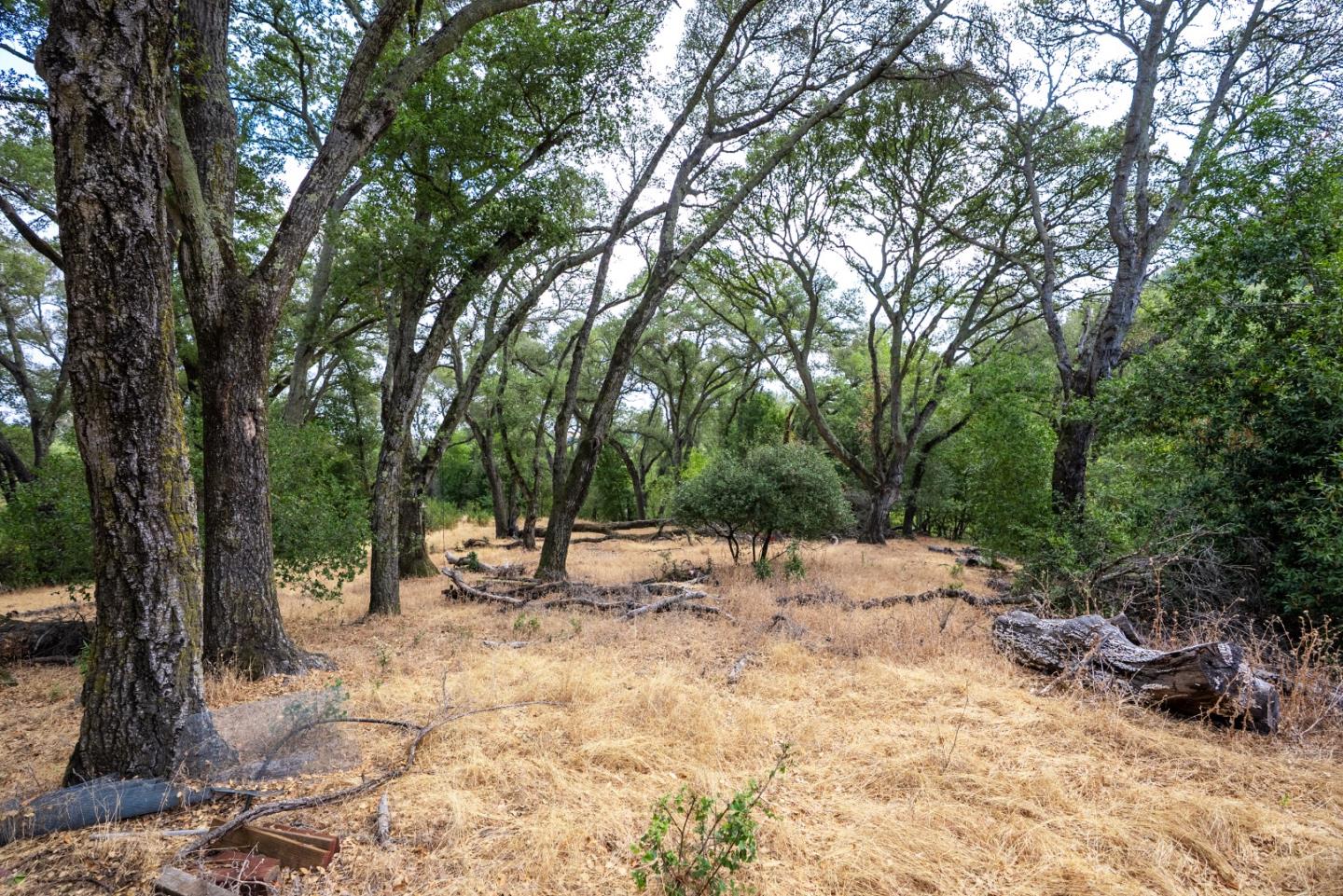 0 Wagner Road Los Gatos, CA 95030 - Photo 28 of 37 a view of a backyard with a large tree