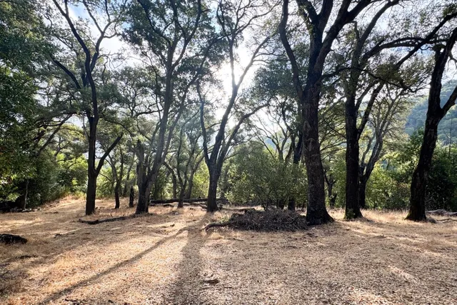 a view of outdoor space with trees