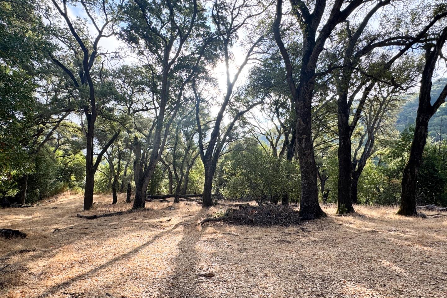 0 Wagner Road Los Gatos, CA 95030 - Photo 29 of 37 a view of outdoor space with trees