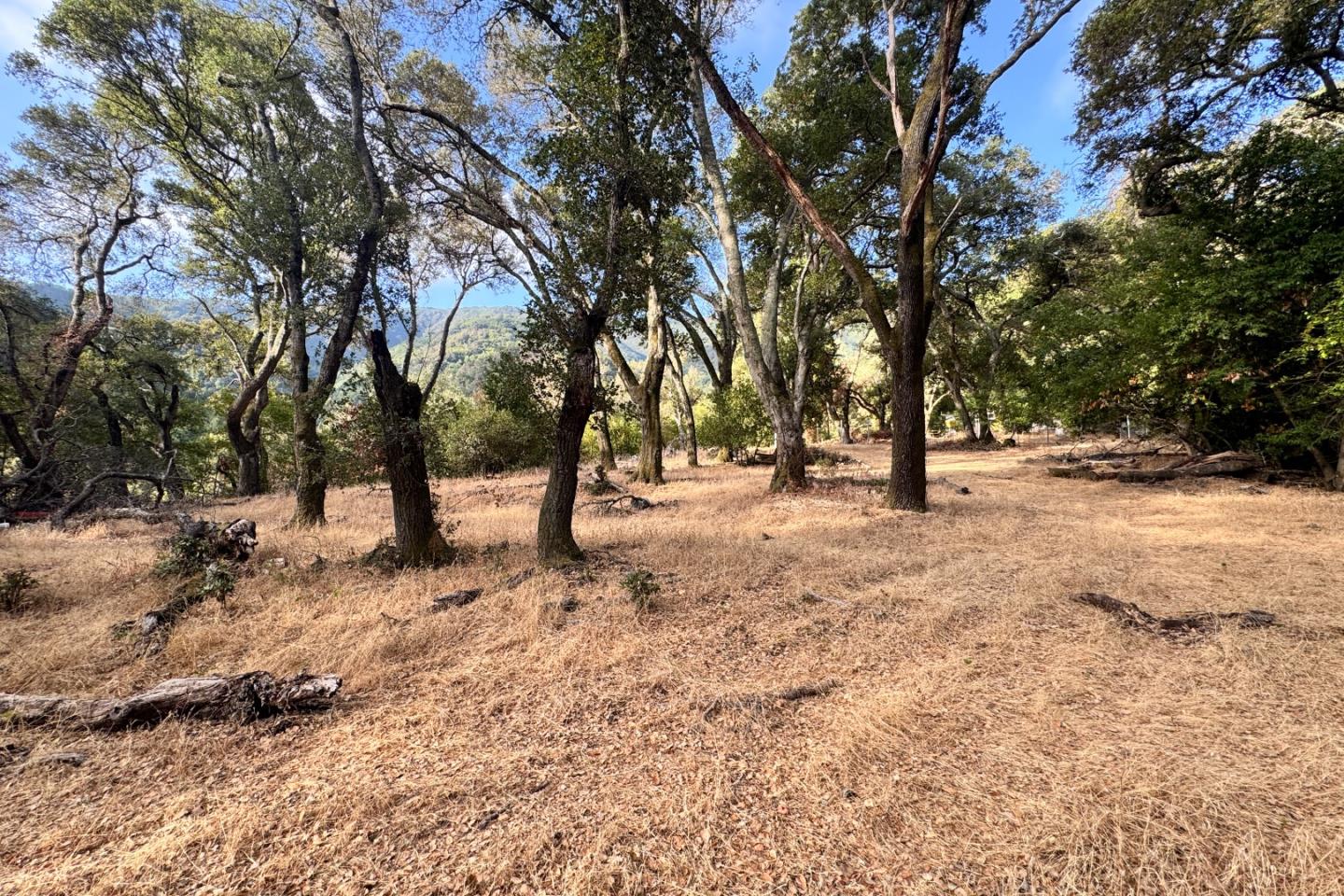 0 Wagner Road Los Gatos, CA 95030 - Photo 30 of 37 a view of empty space with trees