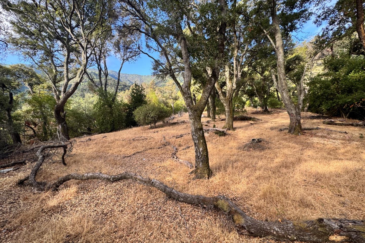 0 Wagner Road Los Gatos, CA 95030 - Photo 31 of 37 a view of a covered with snow in the yard