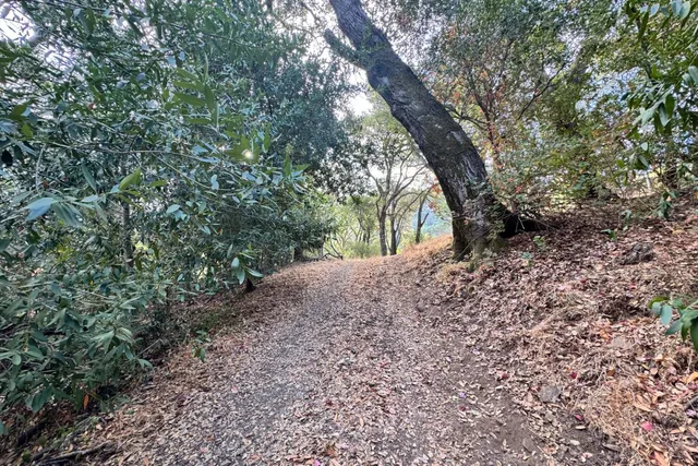 a view of outdoor space and yard