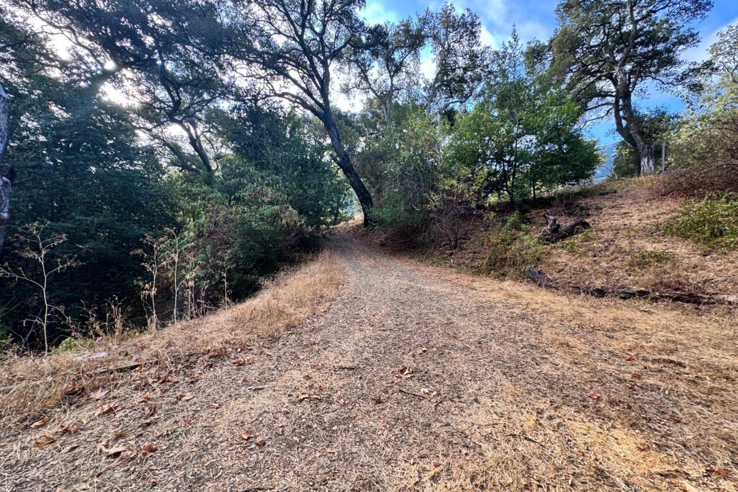 0 Wagner Road Los Gatos, CA 95030 - Photo 33 of 37 a view of a forest with trees in the background