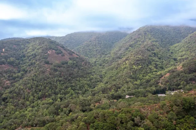 an aerial view of houses covered in trees