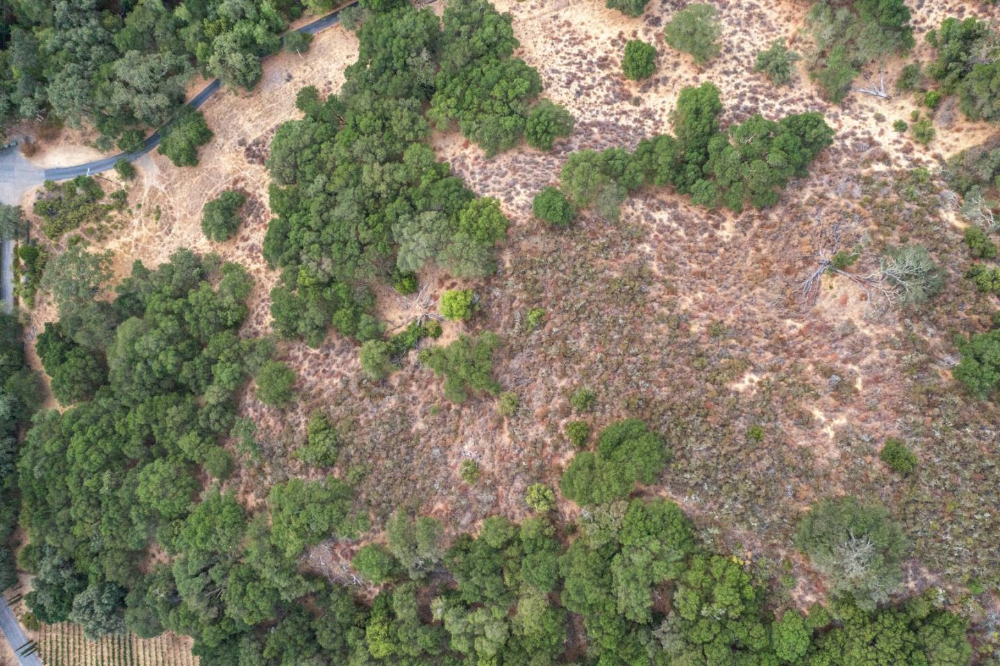 0 Wagner Road Los Gatos, CA 95030 - Photo 7 of 37 a backyard of a house with lots of green space