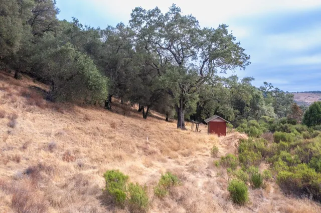 a view of a covered with snow in the background