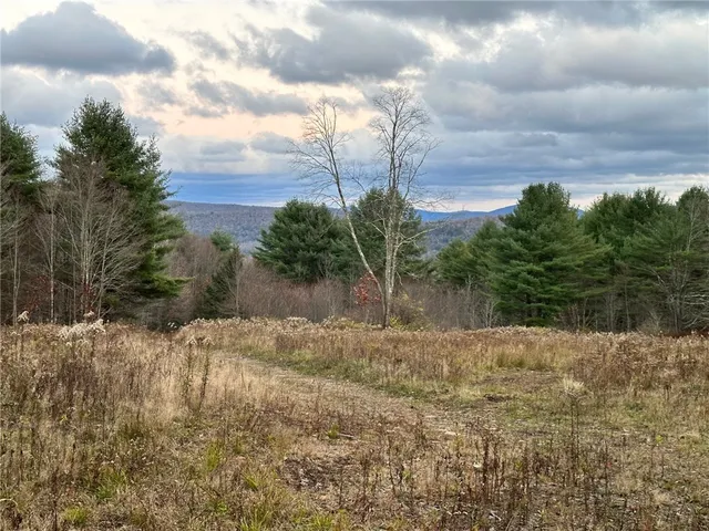 $425,000 | Undisclosed Address, Delancey, NY 13752