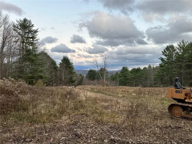 $425,000 | Undisclosed Address, Delancey, NY 13752