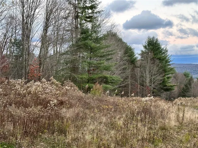 $425,000 | Undisclosed Address, Delancey, NY 13752