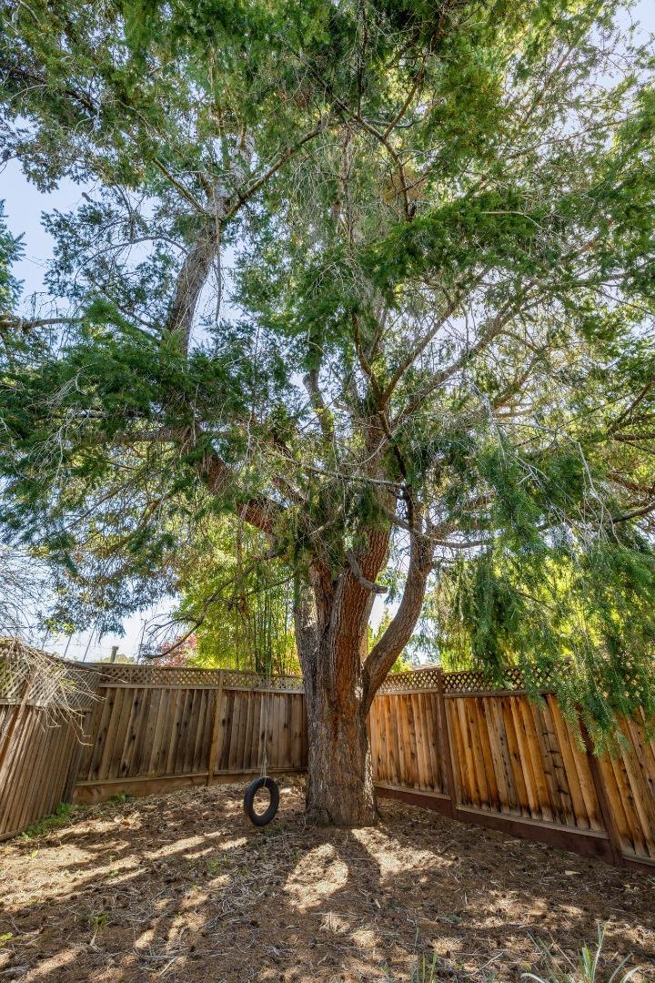 116 Vallecitos Way Los Gatos, CA 95032 - Photo 58 of 66 a view of backyard with tree