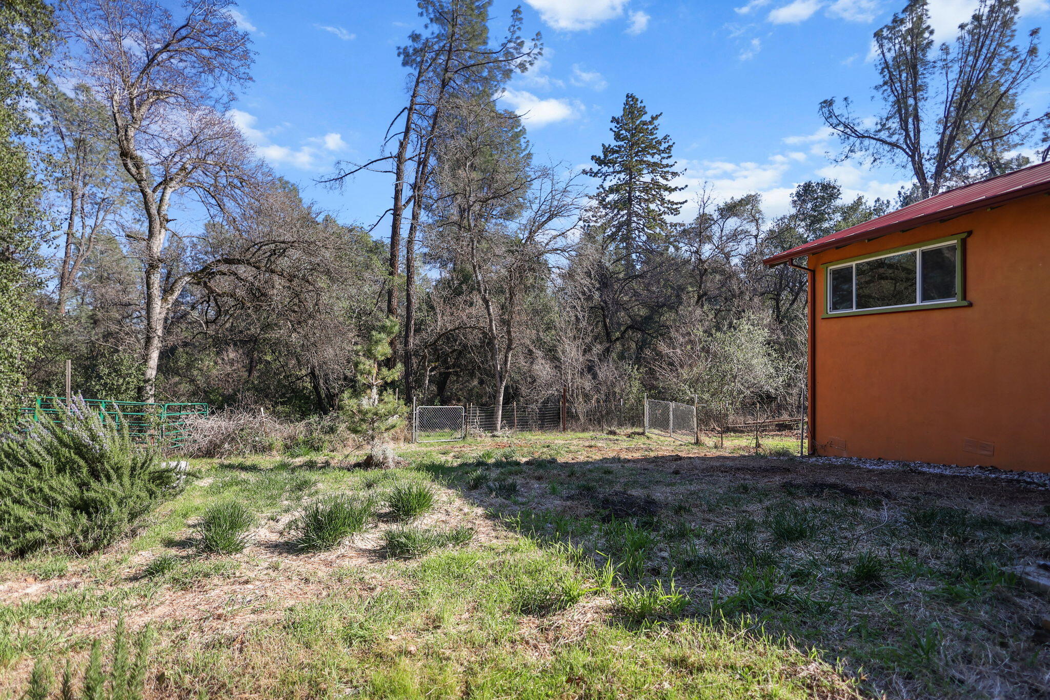 12785 Williamson Road Redding, CA 96003 - Photo 27 of 45 11-web-or-mls-8Q0A8412