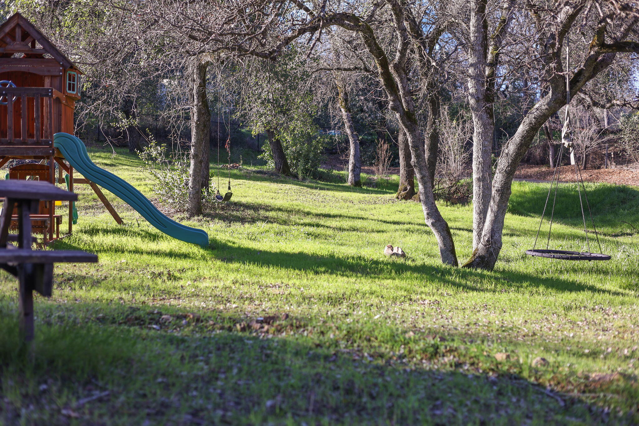 12785 Williamson Road Redding, CA 96003 - Photo 30 of 45 Room to run